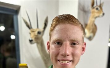 DeWalt lewer net kolskote op