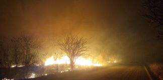 Fires all around Tzaneen raise questions Fire lights up the skies around Tzaneen.